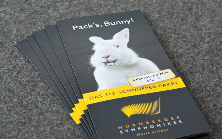 Pack's Bunny