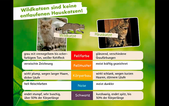 Bildung für die Katz