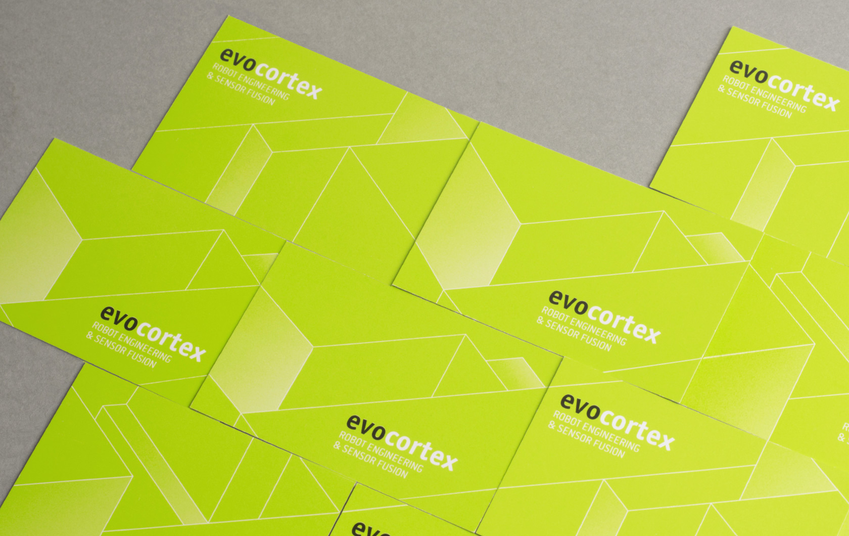 evocortex Slide-2